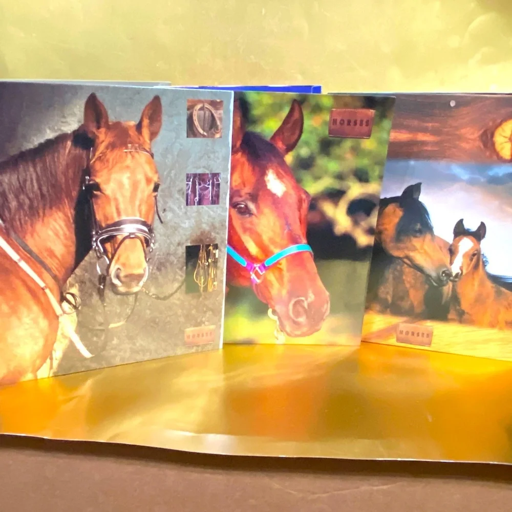 HORSES VINTAGE 90’s PORTFOLIO 3 RING BINDER FOLDERS BUNDLE OF 3 GREAT FOR SCHOOL